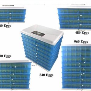 1000 Egg Incubator