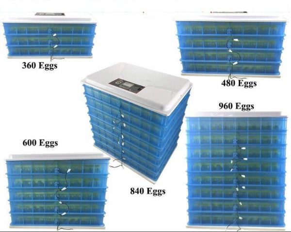 1000 Egg Incubator